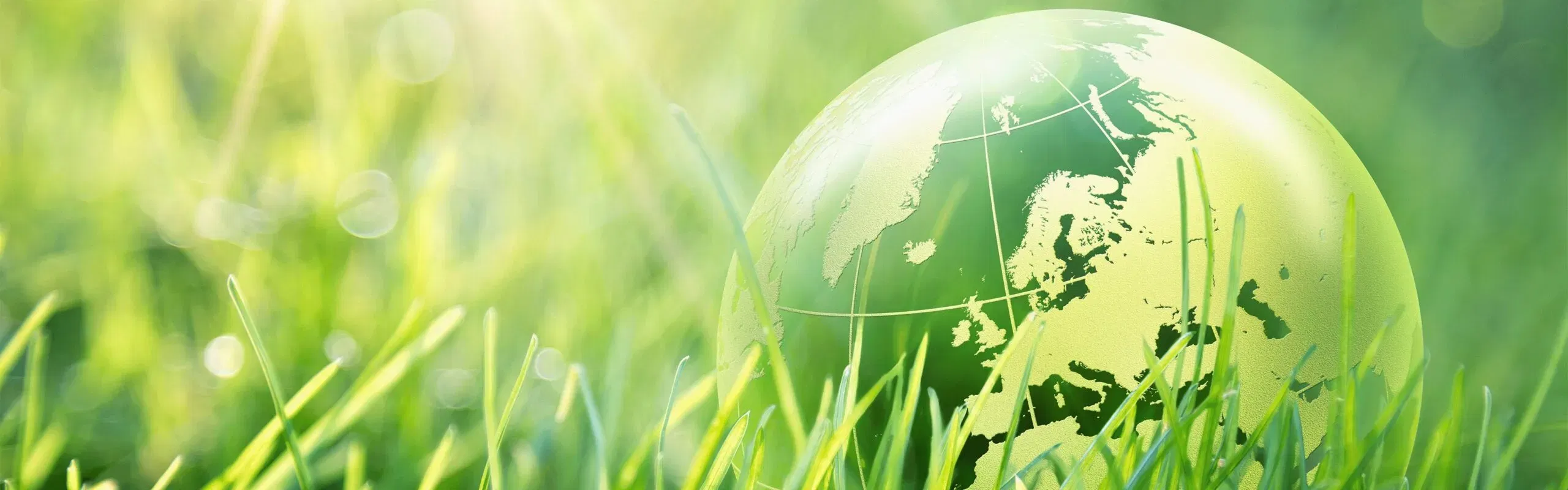 sustaiinability-banner-scaled-DE